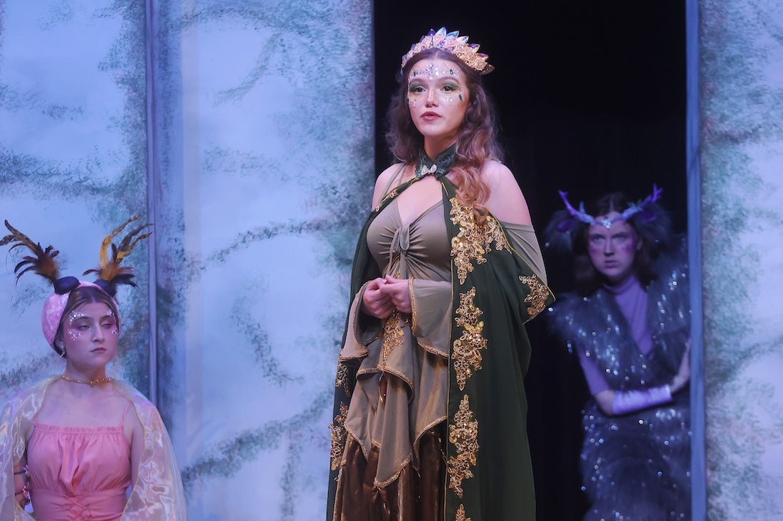 A Midsummer's Night Dream Production Image