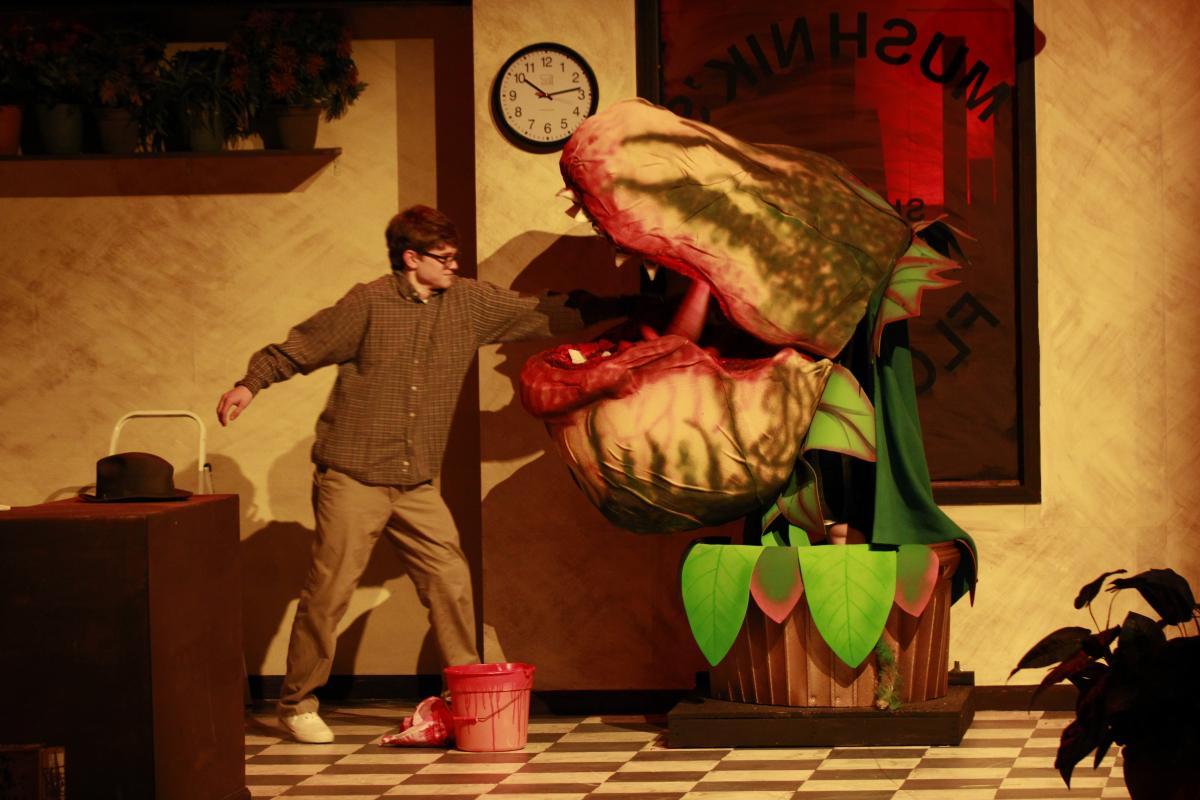 The Little Shop of Horrors